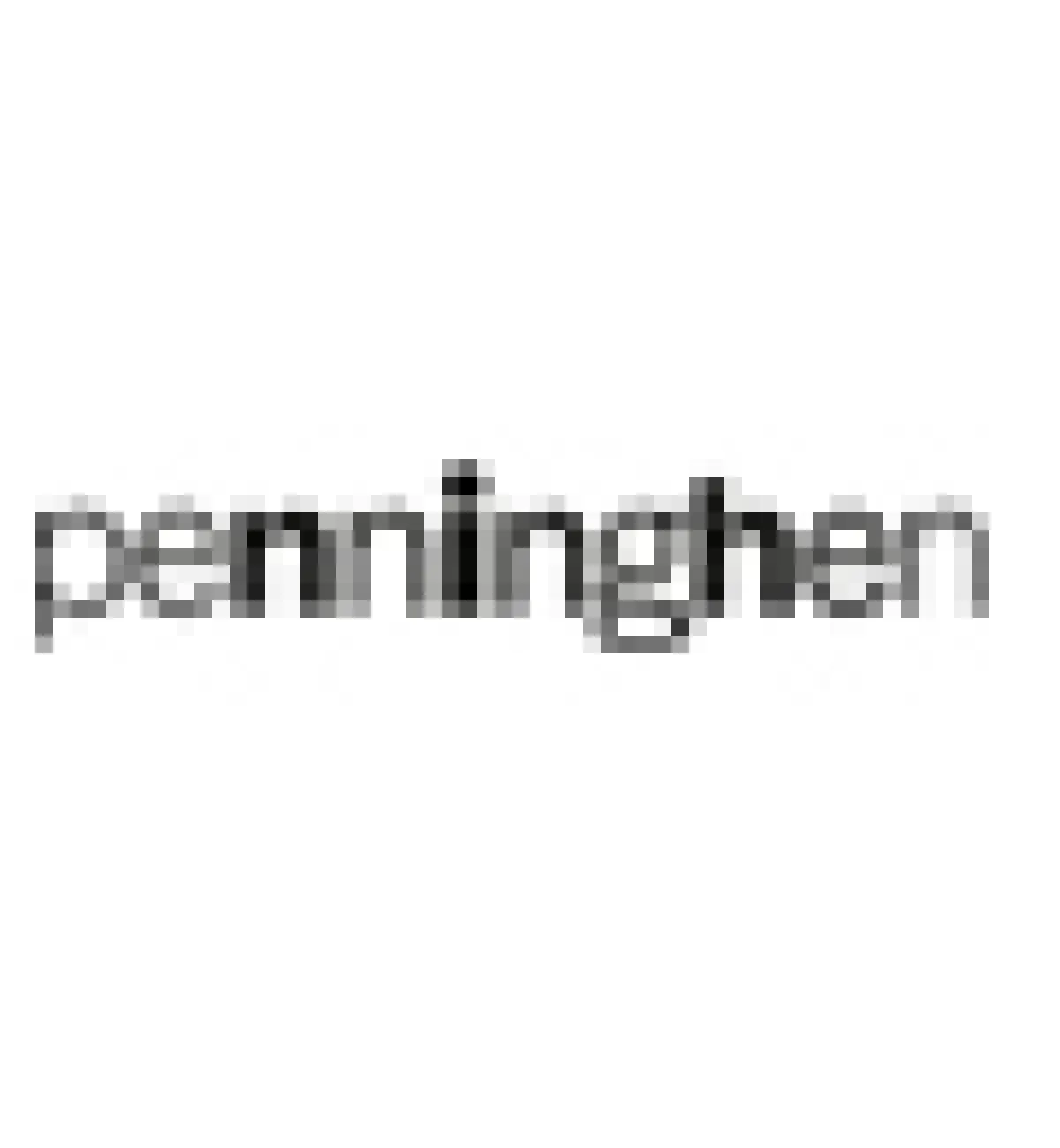logo penninghen