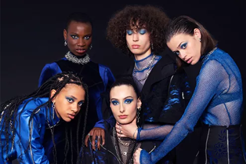 Bachelor Fashion Designer